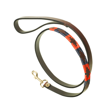 Pampeano Dog Lead #colour_audaz