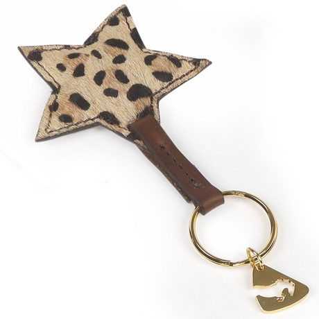 #colour_leopard